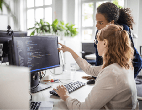 Software Consulting